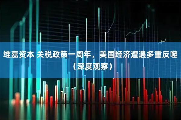 维嘉资本 关税政策一周年，美国经济遭遇多重反噬（深度观察）